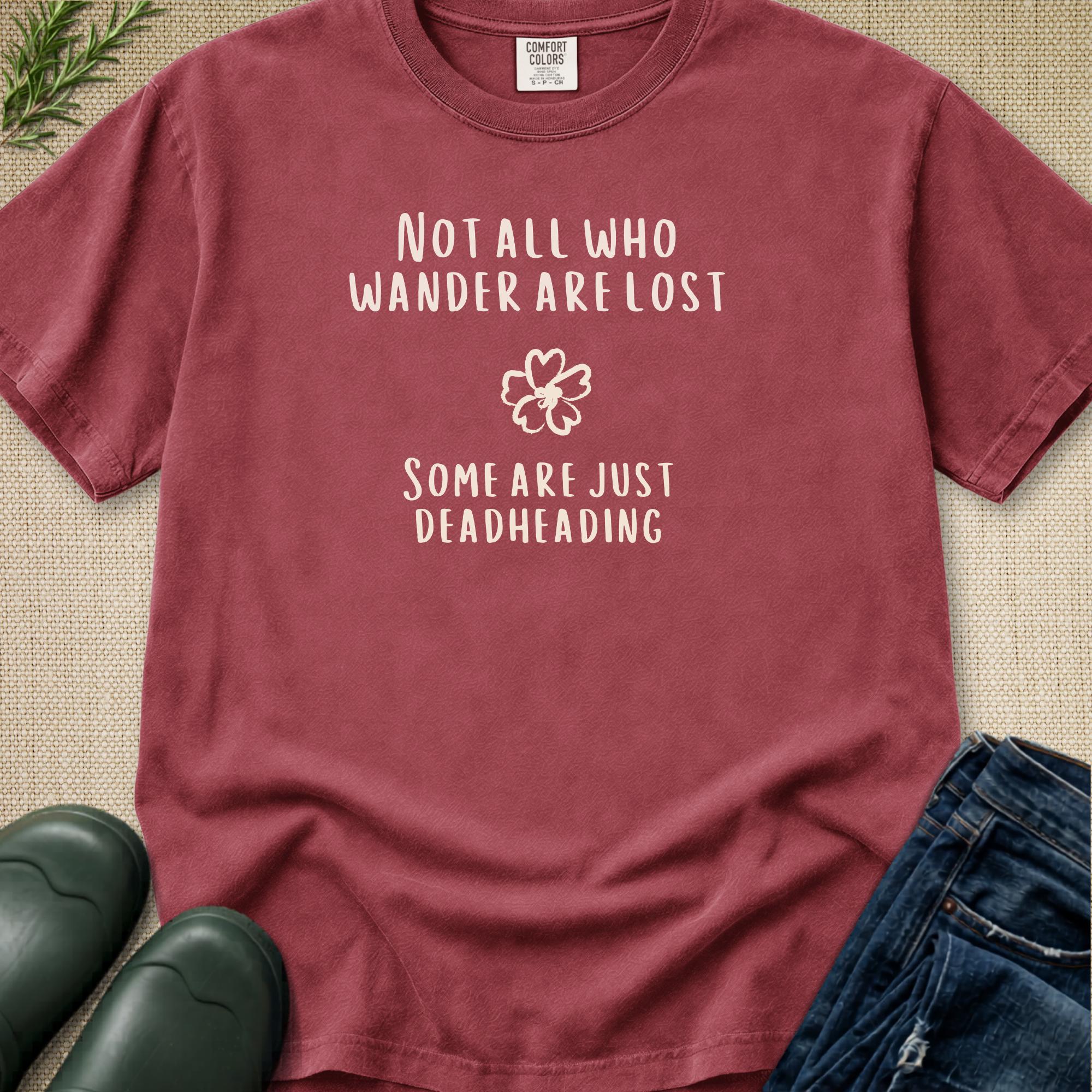 Not All Who Wander Are Lost T-Shirt