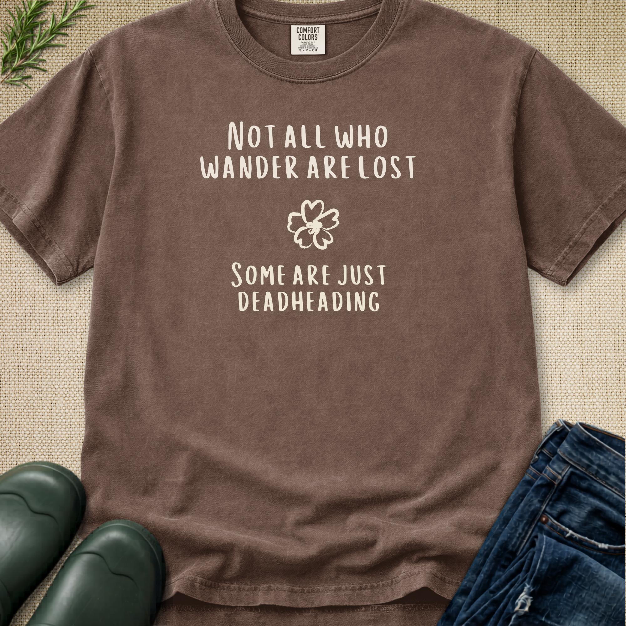 Not All Who Wander Are Lost T-Shirt