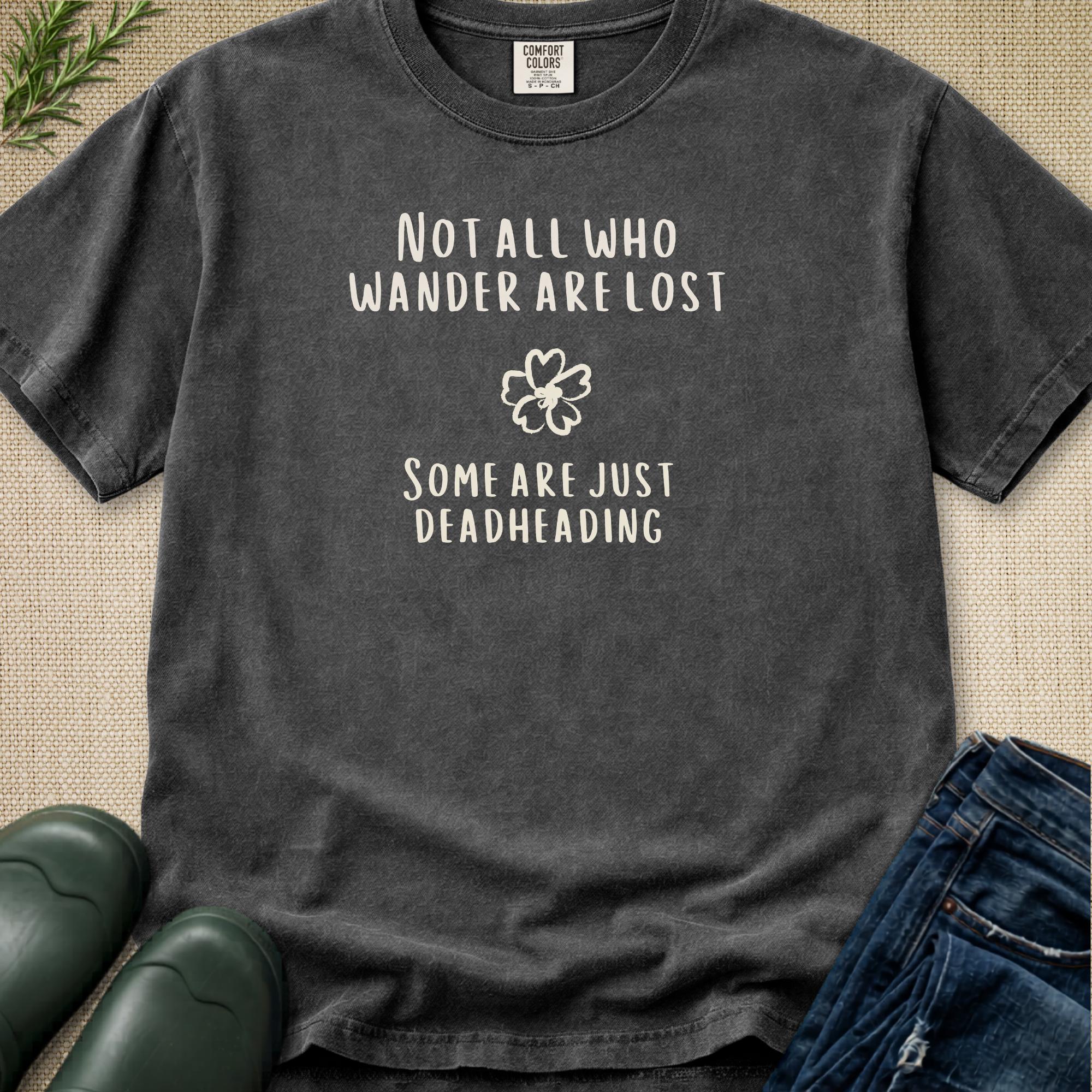 Not All Who Wander Are Lost T-Shirt